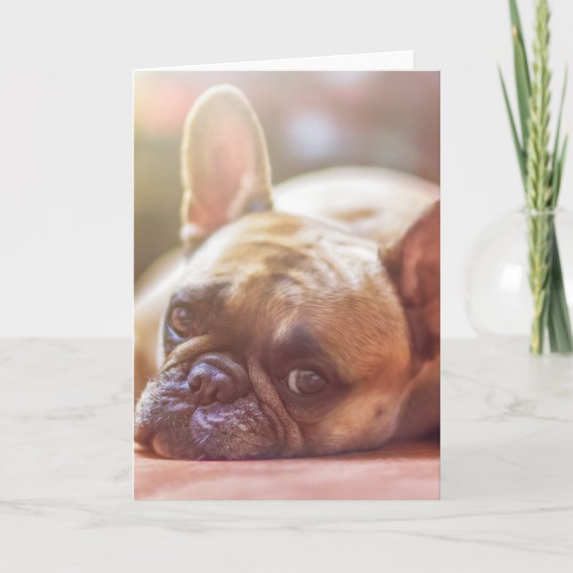 Goldhunde Karte (Vorderseite)