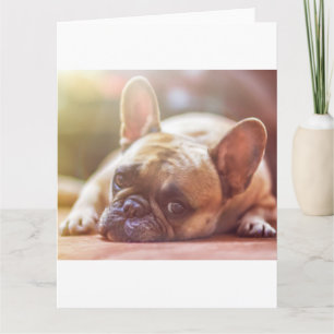 Goldhunde Karte