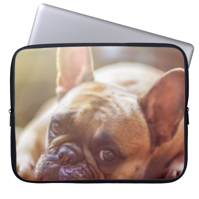 Goldhunde Laptopschutzhülle (Vorderseite)