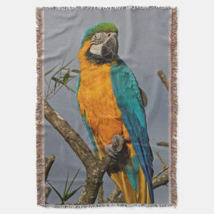 Goldie Blue Throw Blanket Decke