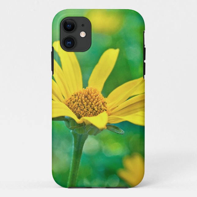 Goldie Case-Mate iPhone Hülle (Rückseite)