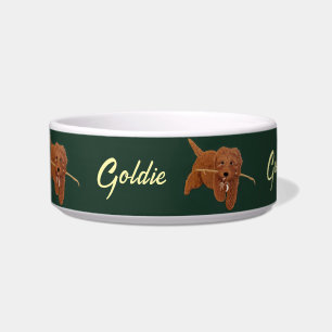 Goldie Golden Doodle Hund Napf