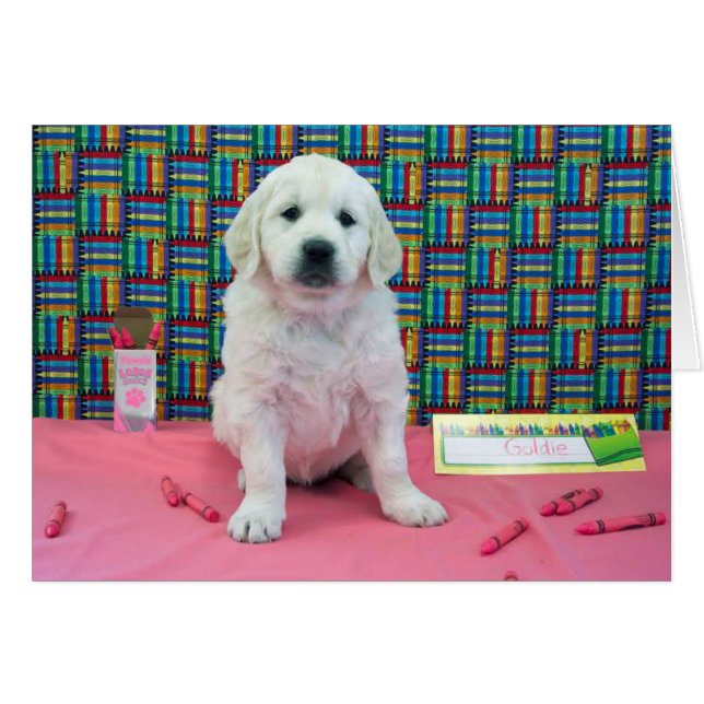 Goldie Woche 6 (Vorderseite (Horizontal))