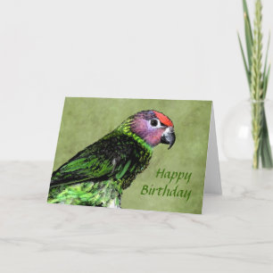 Goldie's Lorikeet Geburtstagskarte Karte
