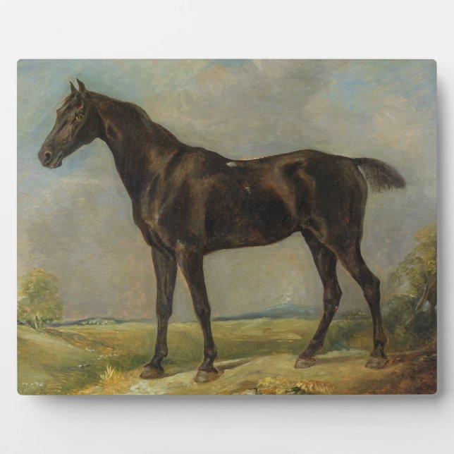 Golding Constable's Black Riding-Horse, c.1805-10 Fotoplatte (Vorderseite)