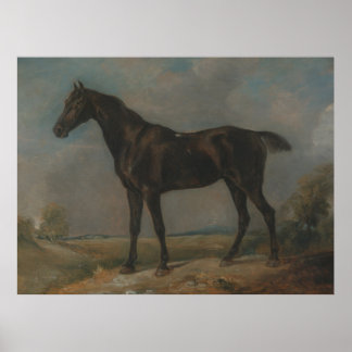 Golding Constable's Black Riding Horse Poster