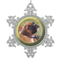 Goldkreis-Foto-Schneeflocke-Verzierung