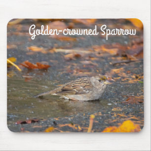 Goldkronenammer Mousepad