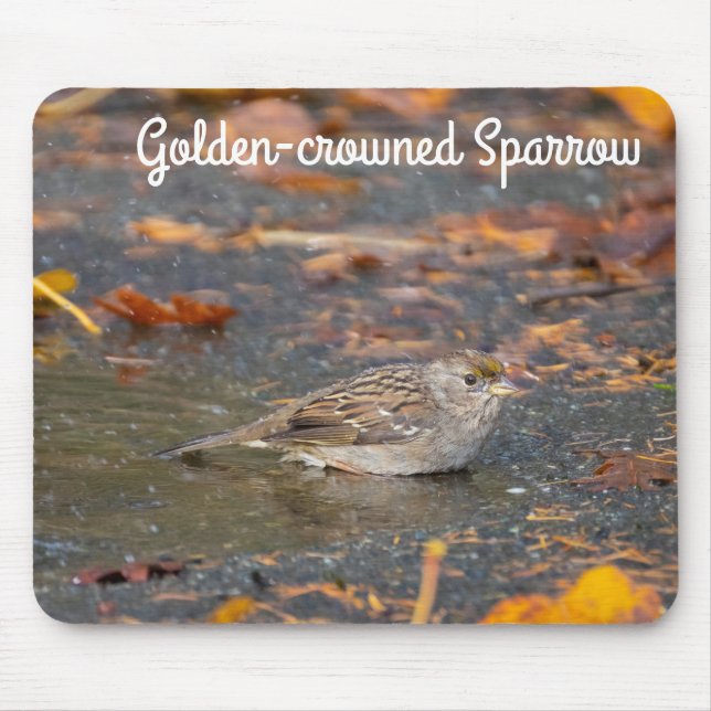 Goldkronenammer Mousepad (Vorne)