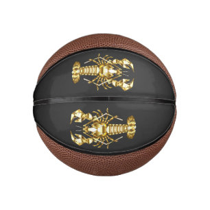 Goldlachs Mini Basketball
