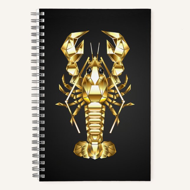 Goldlachs Notizbuch (Vorderseite)