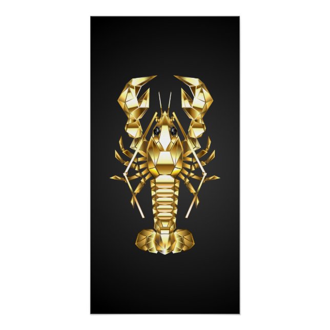 Goldlachs Poster (Vorderseite)
