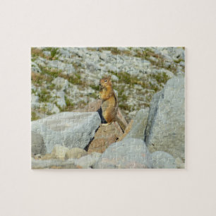 Goldmantel-Ziesel am Mount Rainier Puzzle