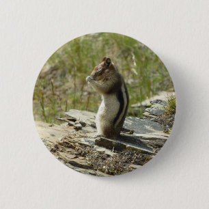 Goldmantel-Ziesel in Glacier I Button