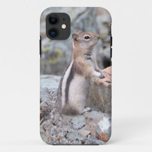 Goldmantel-Ziesel in Glacier II Case-Mate iPhone Hülle