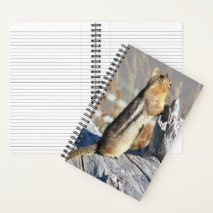 Goldmantel-Ziesel-Naturfoto Notizbuch