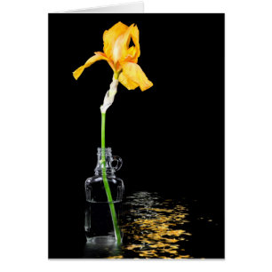 Goldris in Vintager Flasche