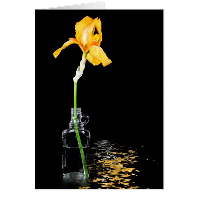 Goldris in Vintager Flasche (Vorne)