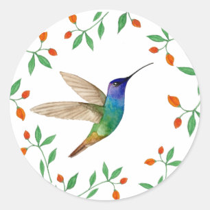 Goldschwanz-Saphir-Kolibri Blank Runder Aufkleber