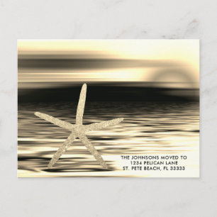 Goldschwarzer Sonnenuntergang Starfish nach Florid Ankündigungspostkarte
