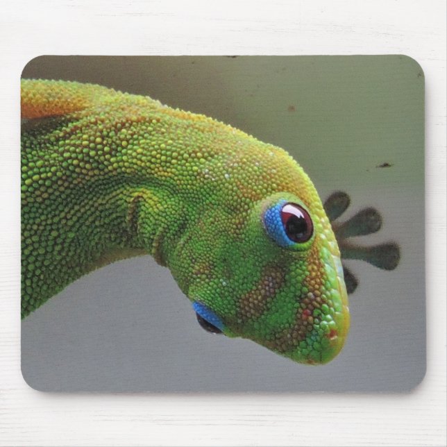 Goldstaub Gecko Mousepad (Vorne)