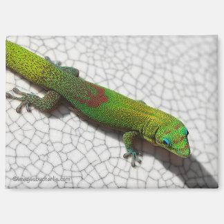 Goldstaub-Tag-Gecko-Kühlschrankmagnet Magnet