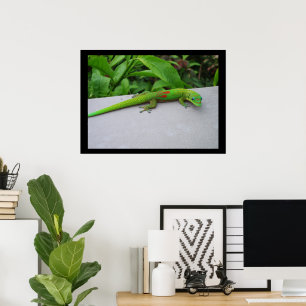 Goldstaub-Tag-Gecko-Plakat Poster