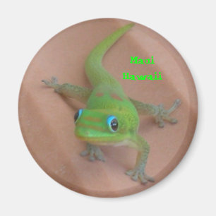 Goldstaub-TagesGecko Magnet