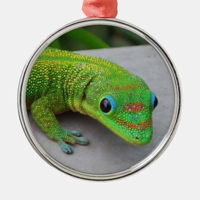 Goldstaubtage Gecko Ornament (Vorne)