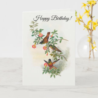 Goldsternkolibri karte