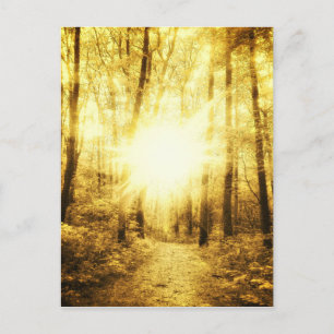 GOLDSUN2 POSTCARD POSTKARTE