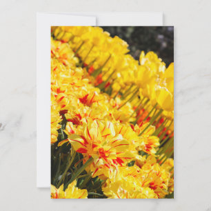 Goldwachstum Einladung