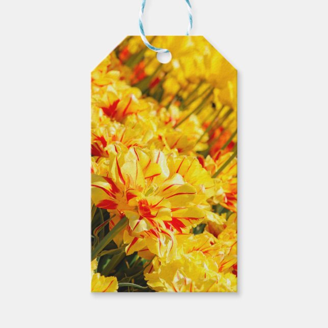 Goldwachstum Geschenkanhänger (Vorderseite)