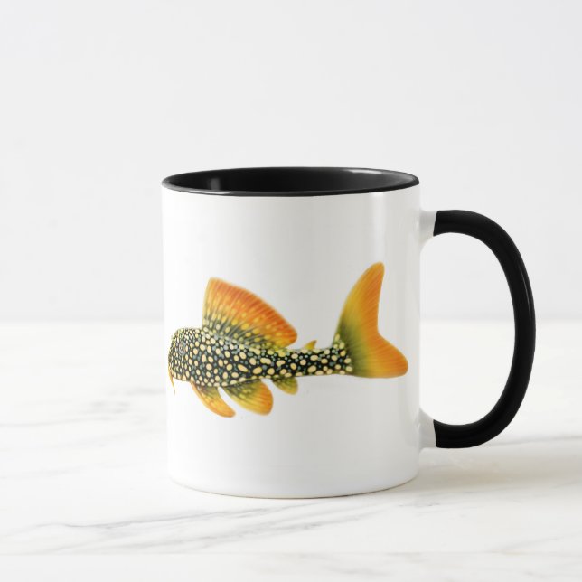 Goldy Sonnenschein Pleco Tasse (Rechts)