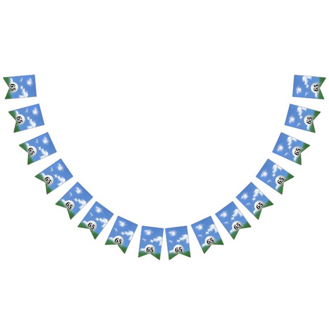 Golf Ball zum 65. Geburtstag Jagdfahnen Wimpelkette (Alle)