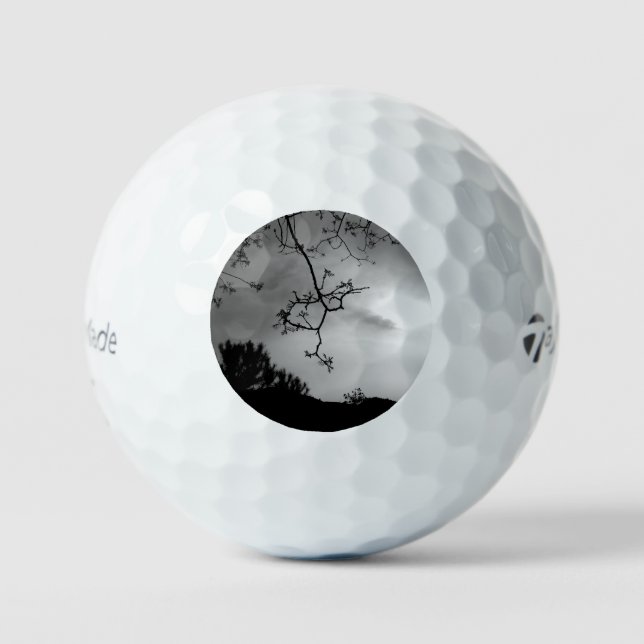 GOLF BALLS TAYLOR MAX TP5 GOLFBALL (Vorderseite)