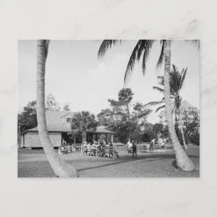 Golf im Palm Beach, 1904 Postkarte