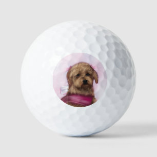 Golfbälle der obersten Liebe