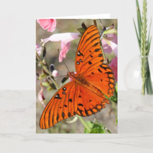 Golffritillary-Schmetterling Notecard Karte