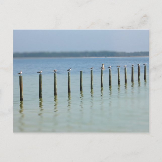 Golfküste - Lassen Sie uns auf der Postkarte bleib (Vorderseite)