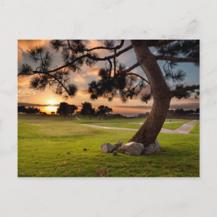 Golfplatz Sonnenuntergang Postkarte
