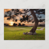 Golfplatz Sunset