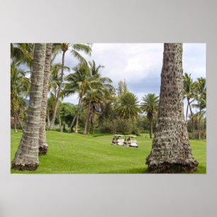 Golfwagen in Poipu Bay, Kauai, Hawaii Poster