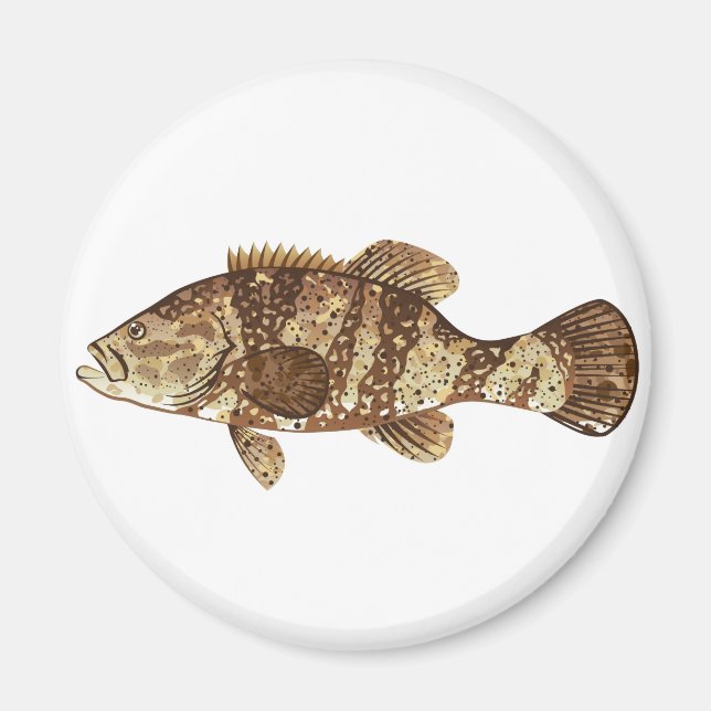 Goliath Grouper Gamefish Ocean Vektor Illustration Magnet (Vorne)