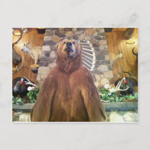 Goliath Space Farms Zoo Weltgrößter Bär Postkarte