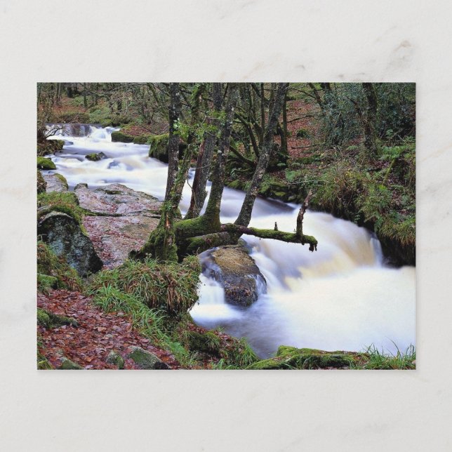 Golitha Falls, Cornwall, England am Cornish Ri Postkarte (Vorderseite)