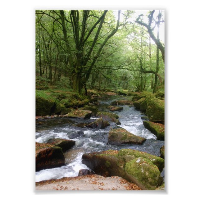 Golitha Falls River Fowey Cornwall England Fotodruck (Vorne)