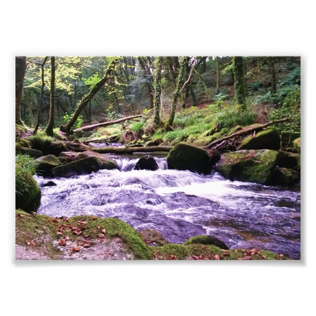 Golitha Falls River Fowey Cornwall England Fotodruck (Vorne)