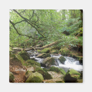 Golitha Falls River Fowey Cornwall England Magnet