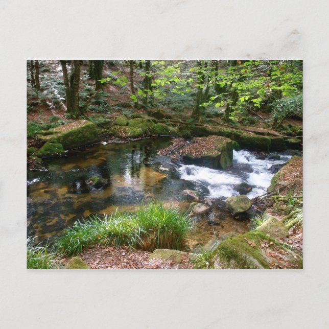 Golitha Falls River Fowey Cornwall England Postkarte (Vorderseite)